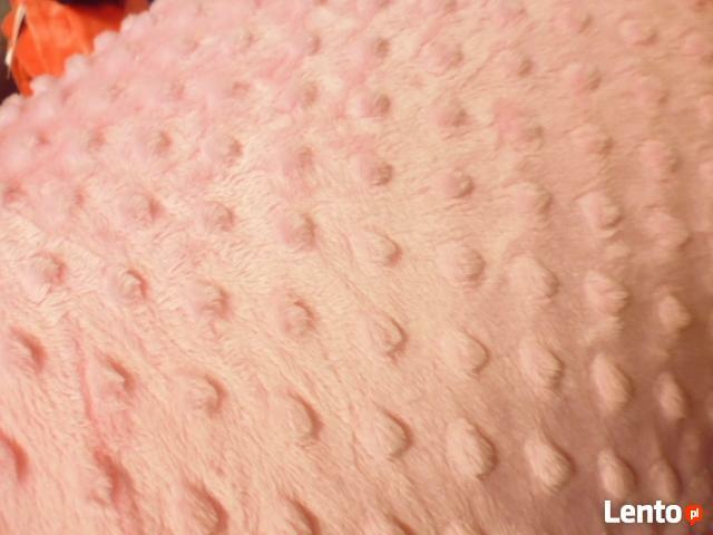 Polar dla kreatywnych