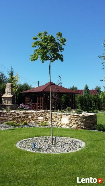 Ogrody, Wrocław, trawniki, tarasy, pielęgnacja Gardenland