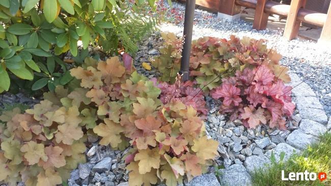 Ogrody, Wrocław, trawniki, tarasy, pielęgnacja Gardenland