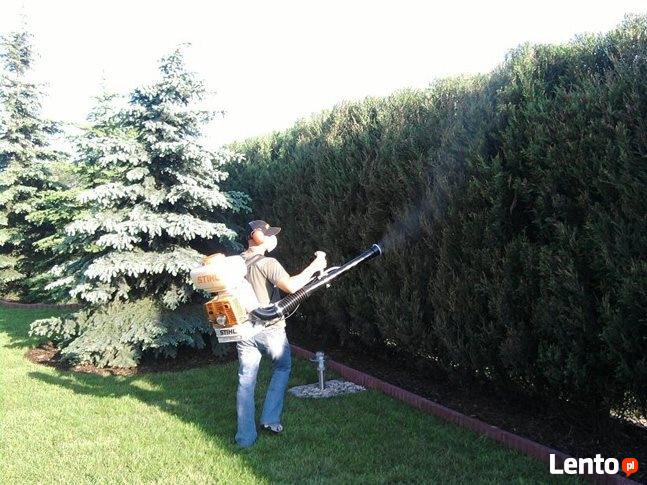 Pielęgnacja ogrodów, wycinki i przycinanie drzew i krzewów