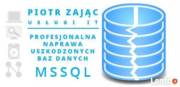 Naprawa bazy danych MSSQL, baz Płatnika, Wapro, Insert, inne