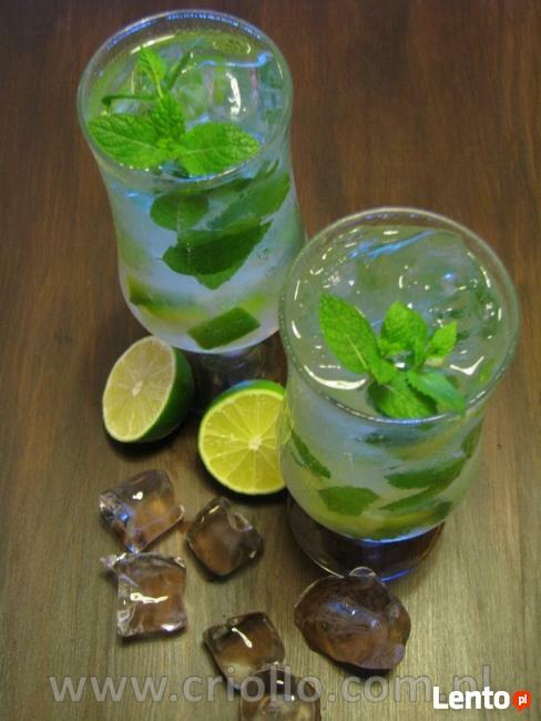 Drink-bar, obsługa barmańska imprez - Criollo