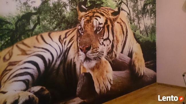 tapetowanie ścian-fototapety-509-983-864-montaż sztukaterii