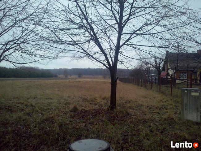 działka budowlana uzbrojona 5400 m2 Kossów gmina Radków