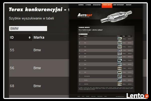 Profesjonalny Skup Katalizatorów i Monolitu - Cennik 200 zdj