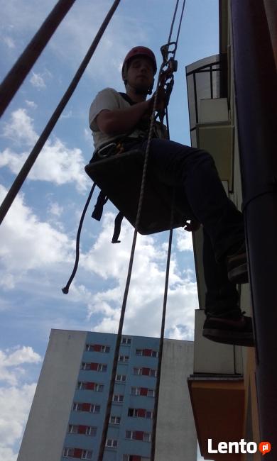 montaż kolców na ptaki