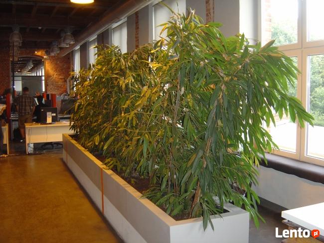 BioArt pielęgnacja roślin w ogrodzie i w firmie Lubelskie