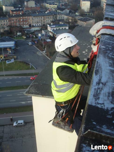 montaż kolców na ptaki