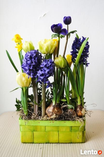 Bezpłatna Szkoła Florystyczna Kraków