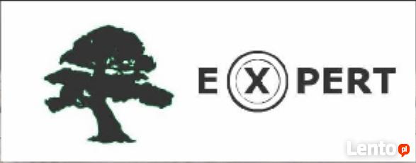 PORZĄDKOWANIE DZIAŁEK, WYCINKA DRZEW - PIASECZNO, PRUSZKÓW