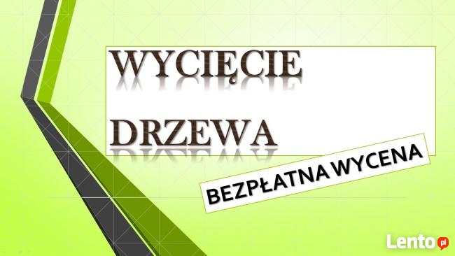 Wycięcie drzewa cena, tel. 504-746-203. ścięcie, wycinka