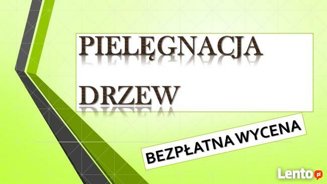Wycięcie drzewa cena, tel. 504-746-203. ścięcie, wycinka