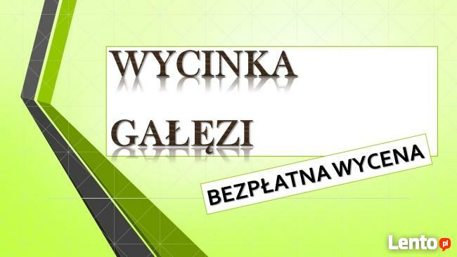 Wycięcie drzewa cena, tel. 504-746-203. ścięcie, wycinka