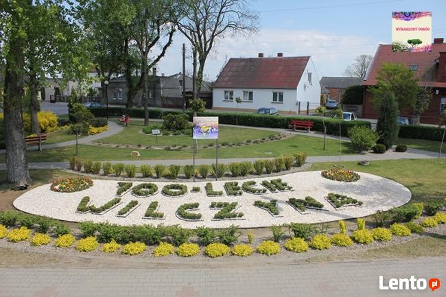 Projektowanie i zakładanie ogrodów Konin, Koło, Słupca Turek