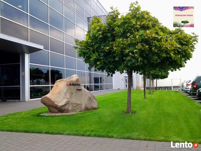 Projektowanie i zakładanie ogrodów Konin, Koło, Słupca Turek