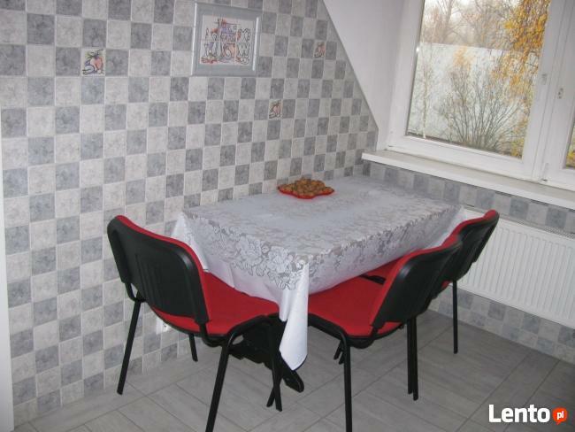 Mieszkanie w Sulejówku - tanio wynajmę