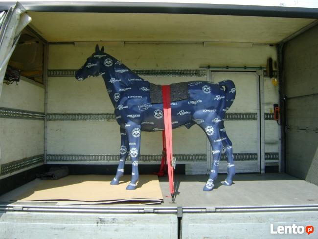 transport / przeprowadzki