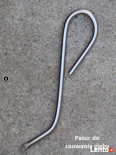 LASKA GLEBOWA (Laska Egnera) + Pazur