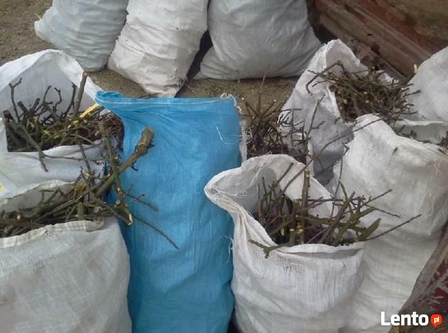 Wycinki drzew podcinanie gałęzi zrębkowanie lubelskie