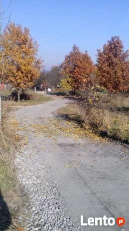 Działki budowlane Łazy, Rokitno Szlacheckie, widok