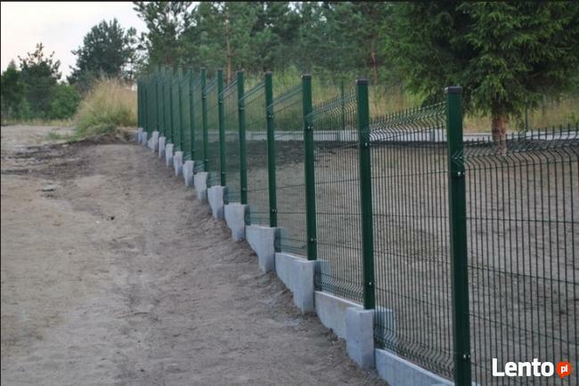 Panel ogrodzeniowy 2D 1230mm x 2500mm 8/6/8 mm oc+kolor