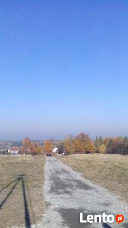 Działki budowlane Łazy, Rokitno Szlacheckie, widok