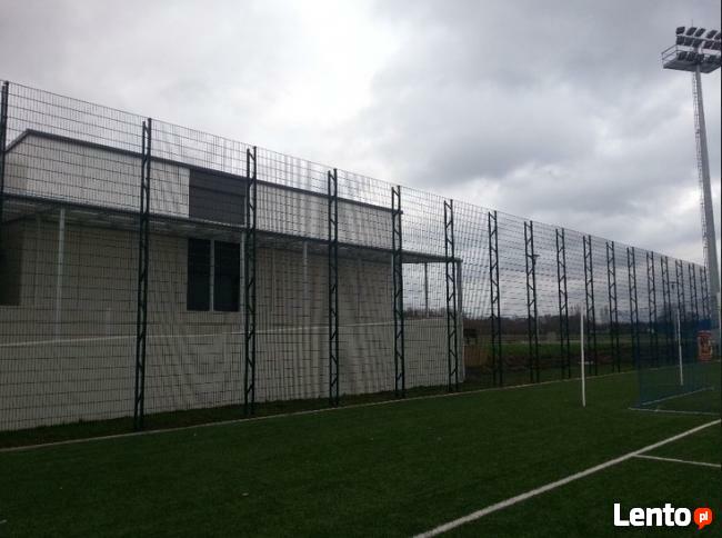 Panel ogrodzeniowy 2D 1230mm x 2500mm 8/6/8 mm oc+kolor