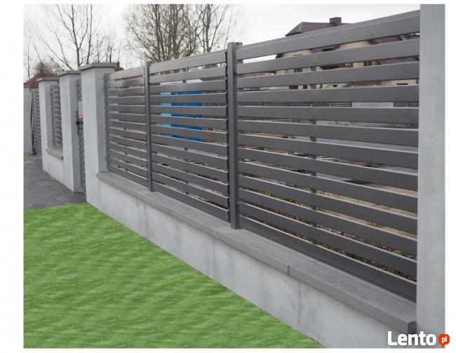 Przęsło ogrodzeniowe P12b ceownik 70x10 ocynk+kolor