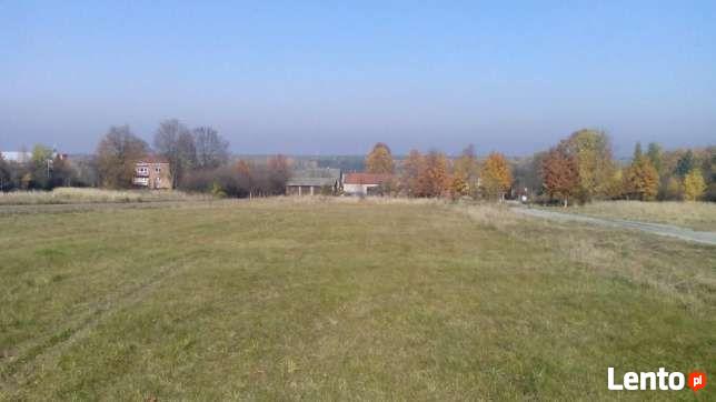 Działki budowlane Łazy, Rokitno Szlacheckie, widok