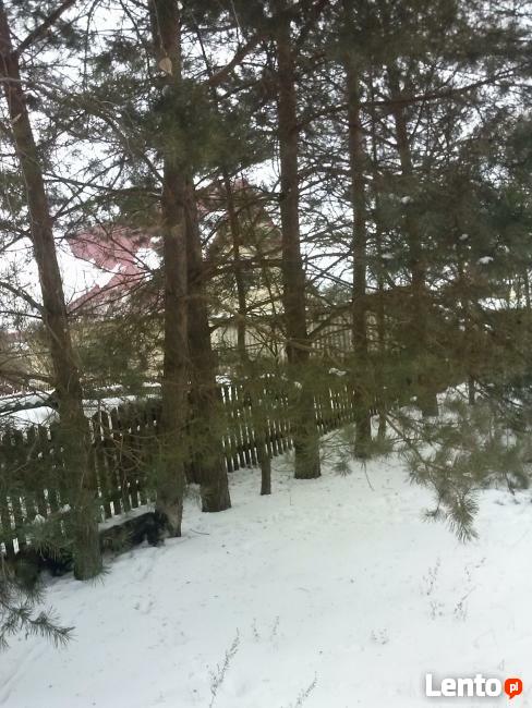 Sprzedam działkę z domkiem