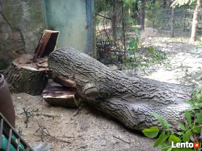 Ogrodnik usługi ODNAWIANIE ogrodu zakładanie trawnika