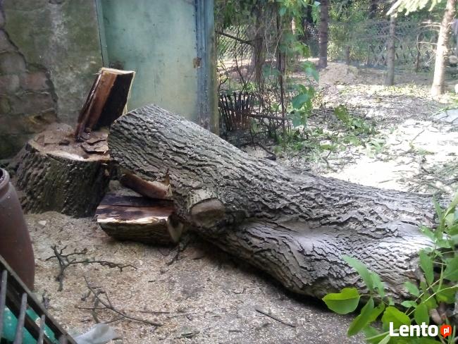 Zakładanie ODNAWIANIE ogrodu trawa z rolki.