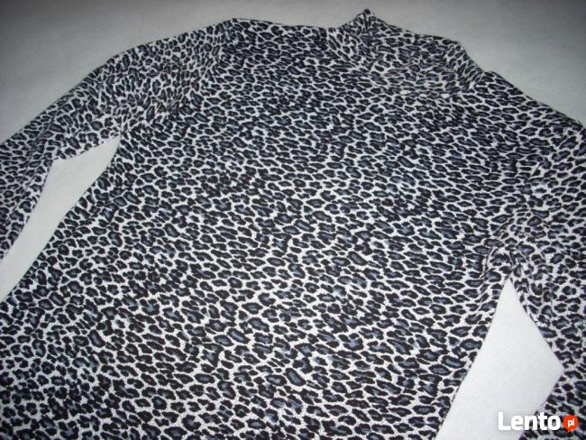 SZARA sukienka Panterka Półgolf 36 38 S M