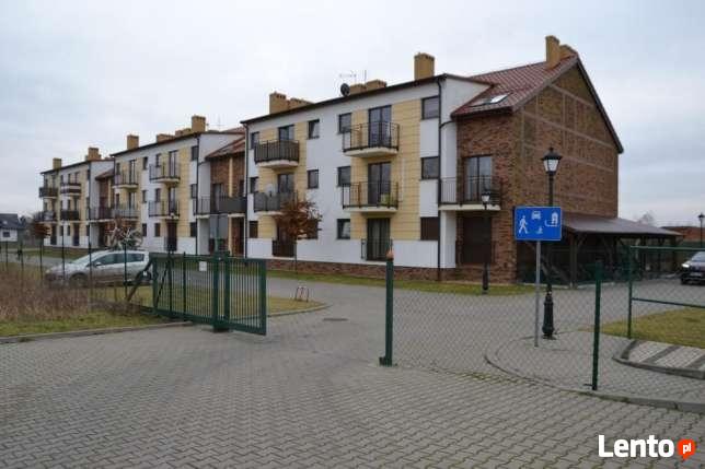 apartament nad morzem do wynajęcia