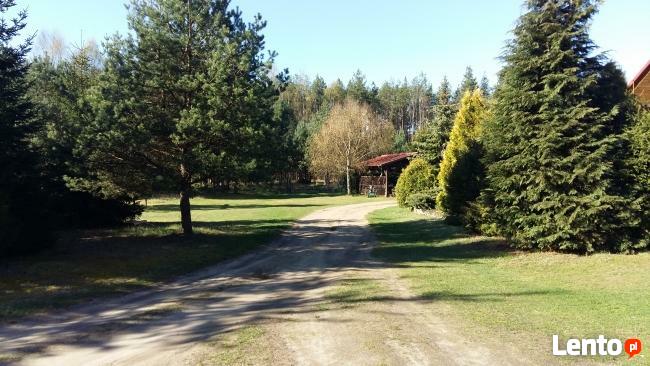 Agroturystyka Pod Klonem