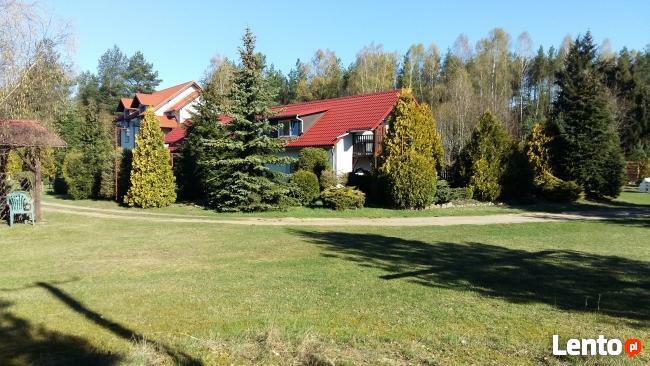 Agroturystyka Pod Klonem