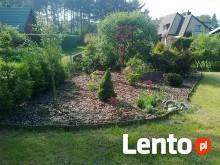 Wynajem domków drewnianych ,holenderskich