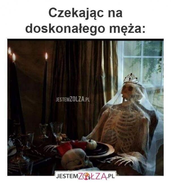 witamy szukamy dziewczyny