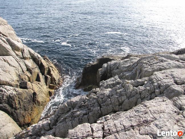 Dojrzały pozna młodszą