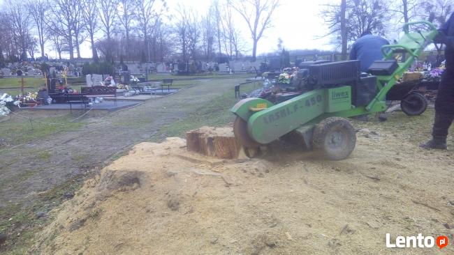 Frezowanie pni karczowanie wycinka