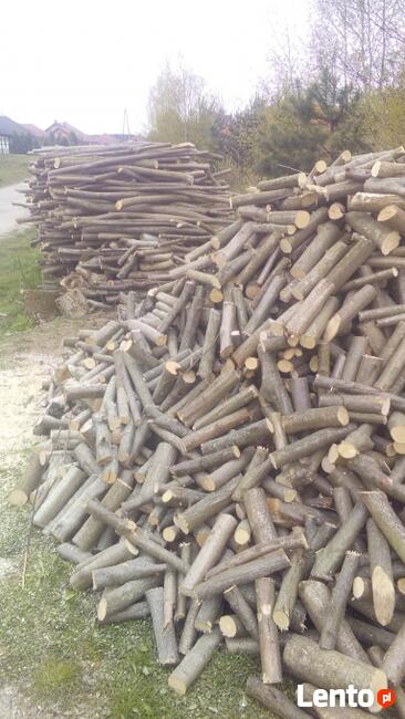 Frezowanie pni karczowanie wycinka