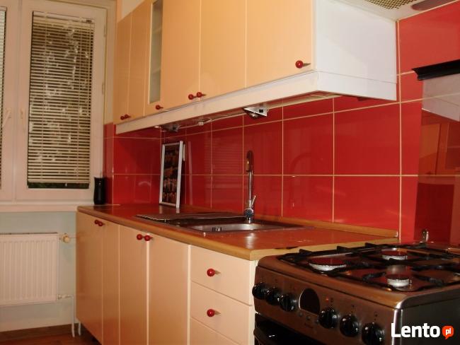 Samodzielny Apartament Studio do wynajęcia ( 58 m2 )