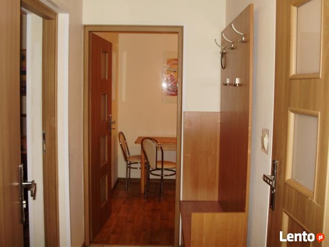 Samodzielny Apartament Studio do wynajęcia ( 58 m2 )