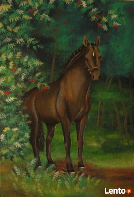 Obraz olejny koń w lesie