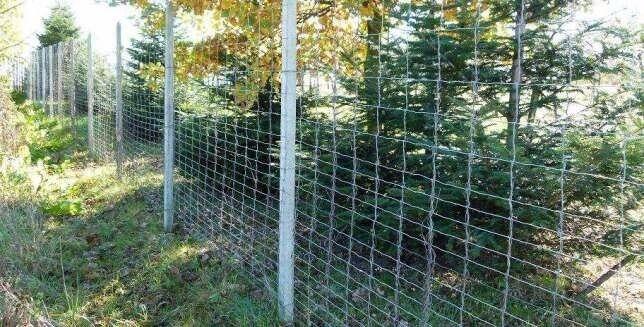 Uwaga! Siatka leśna, ogrodzeniowa różne wysokości, gęstości,