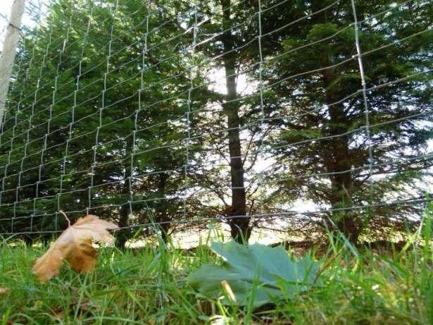 Uwaga! Siatka leśna, ogrodzeniowa różne wysokości, gęstości,
