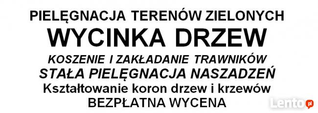 Wycinka drzew, czyszczenie terenów - bezpłatna wycena