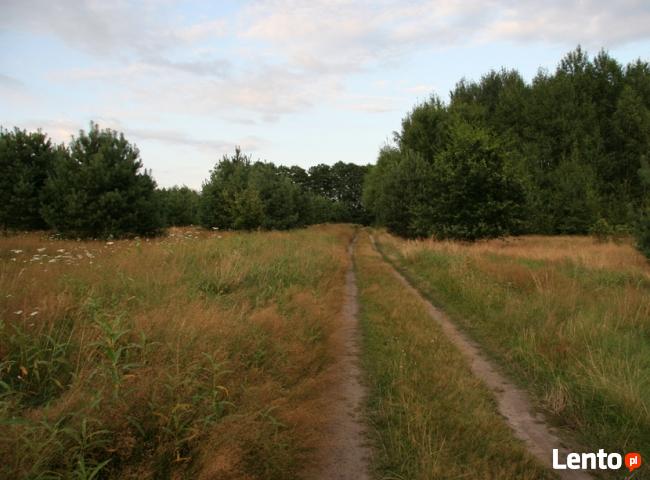 Działka nad jeziorem Czaplinek Pojezierze Drawskie