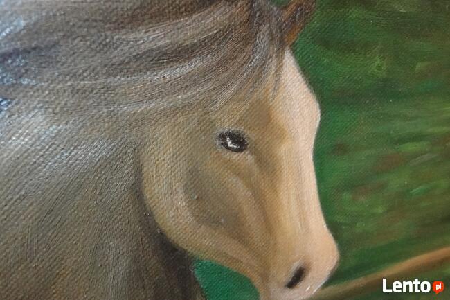 Obraz olejny na płótnie Koń konik na łące