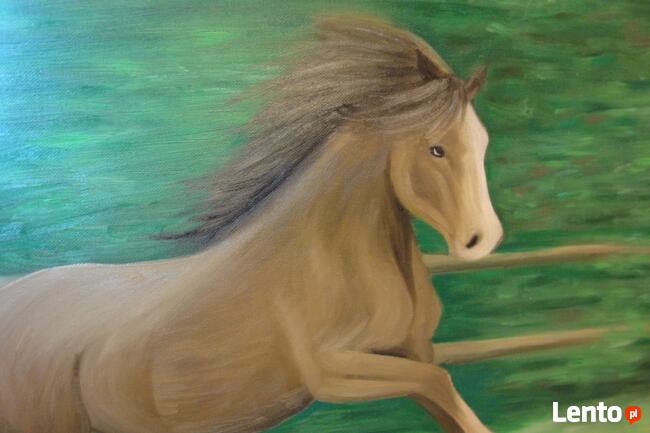 Obraz olejny na płótnie Koń konik na łące